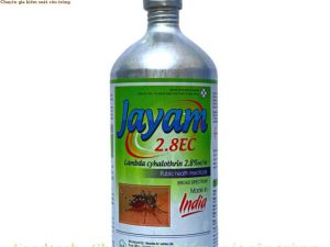 Jayam 2.8EC