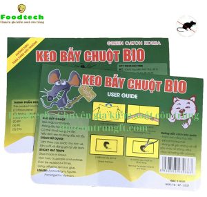 Kỹ thuật viên Foodtech đặt bẫy keo dính chuột chuyên dụng tại góc tường và đường di chuyển của chuột