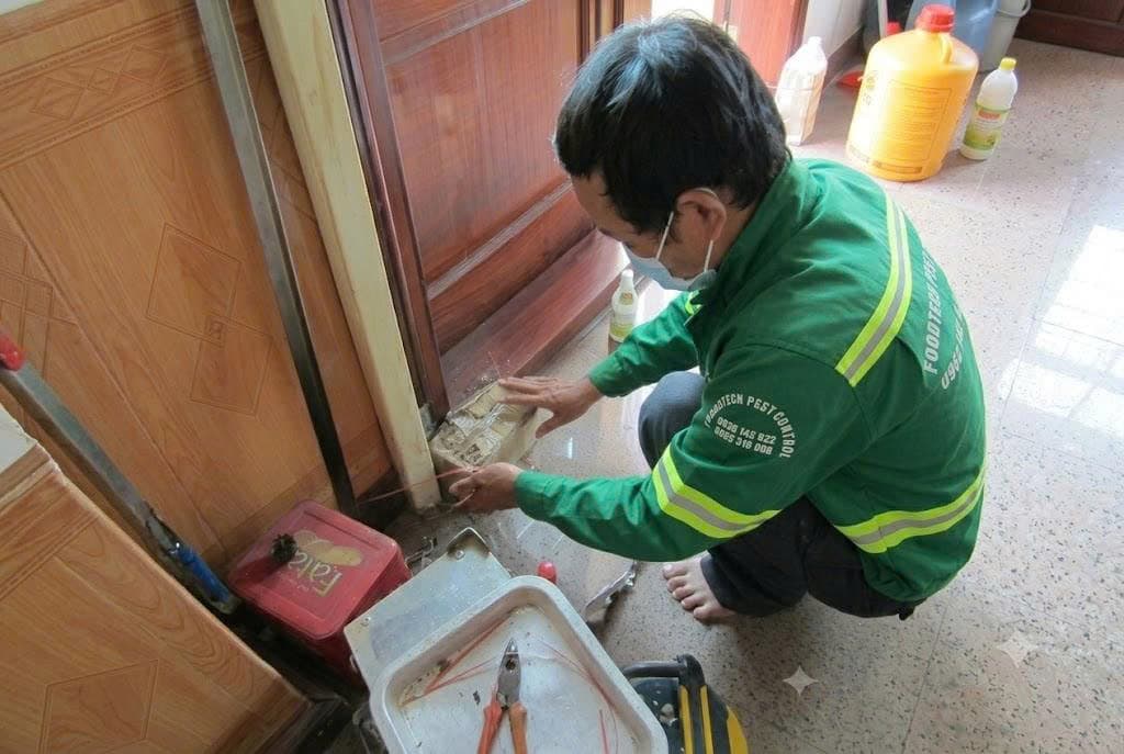 Kỹ thuật viên Foodtech đặt hộp nhử mối sinh học tại đường đi của mối để gom mối thợ