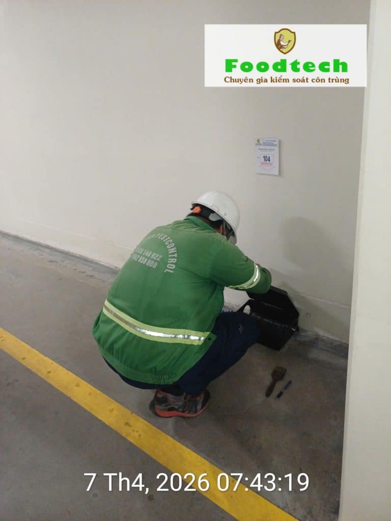 Kỹ thuật viên Foodtech kiểm tra hộp bẫy chuột định kỳ.
